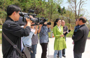 中共台安县委常委会党的群众路线教育实践活动整改落实方案